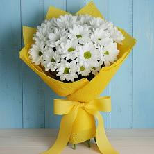 Букет цветов из:  Хризантемы в Новоалексеевской