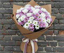 Букет цветов из:  Хризантемы в Новоалексеевской