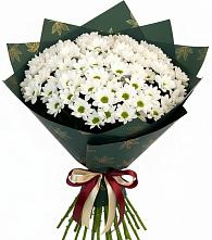 Букет цветов из:  Хризантемы в Новоалексеевской