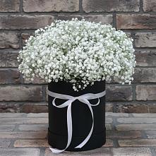 Цветочная композиция из Гипсофила в шляпной коробке в Новоалексеевской