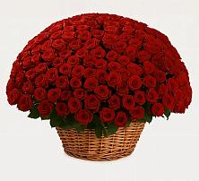 Премиум букет из: Розы #REPLACE_PRED# Новоалексеевской